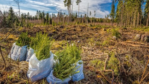 Was tun, wenn´s brennt? So versichert die Gothaer Wälder