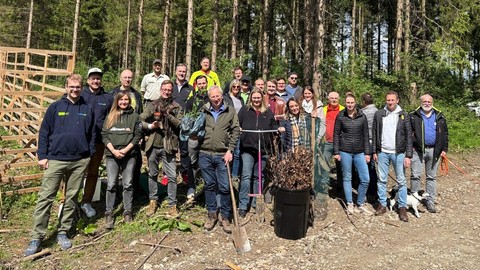 VEMA pflanzt erneut 5.000 Bäume
