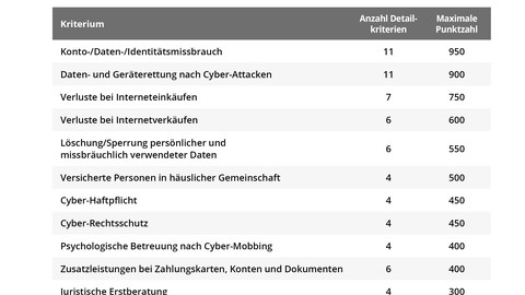 Private Cyber-Versicherungen: Cybergefahren steigen, Angebot bleibt schwach