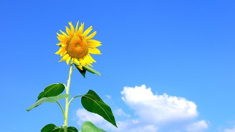 An die Zukunft denken, Verantwortung übernehmen: Mr-Money steht für Nachhaltigkeit