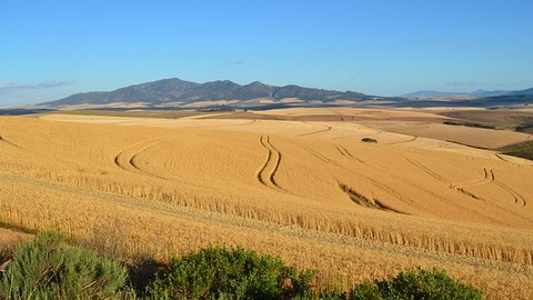 Wohngebäude: Liegt bei Sommerfrost eine bedingungsgemäße Erdsenkung vor?