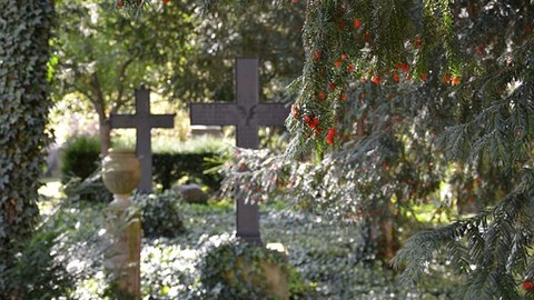 Versicherung erklärt Seniorin für tot und stoppt ihre Rente - obwohl die Frau lebt