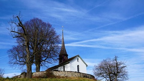 Kinderlose Ehe – wer erbt? Witwe ist nicht „automatisch“ Alleinerbin