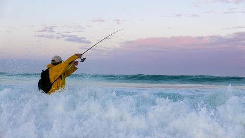 App RecFishing: Meldung von Fängen in der Ostsee für Angler Pflicht