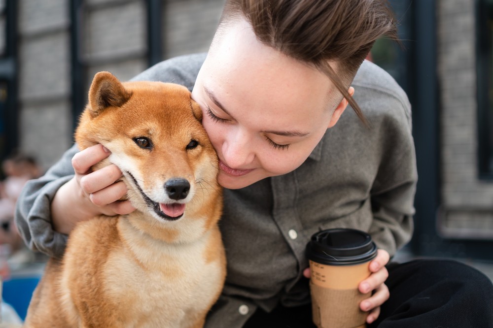 Berlin Direkt startet Hunde-OP-Versicherung
