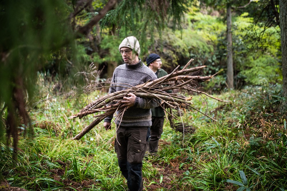 Aktuelle Verbraucherfrage: Ist Holzsammeln im Wald erlaubt?