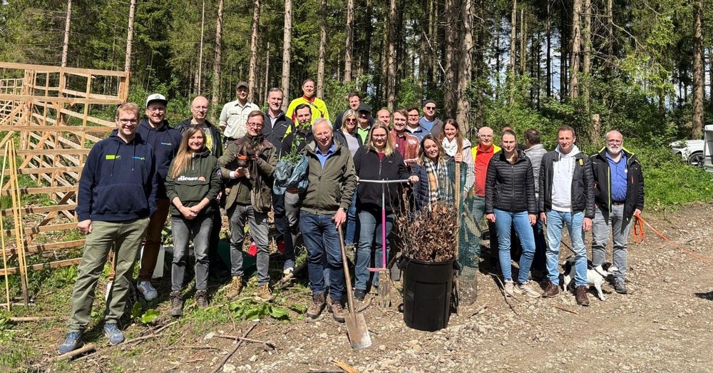 VEMA pflanzt erneut 5.000 Bäume